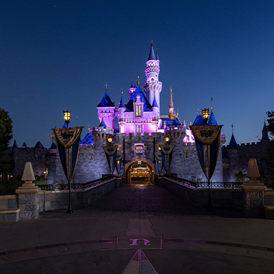 Play the night away during Disneyland® After Dark